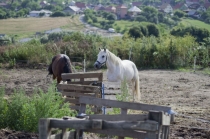 Tábor